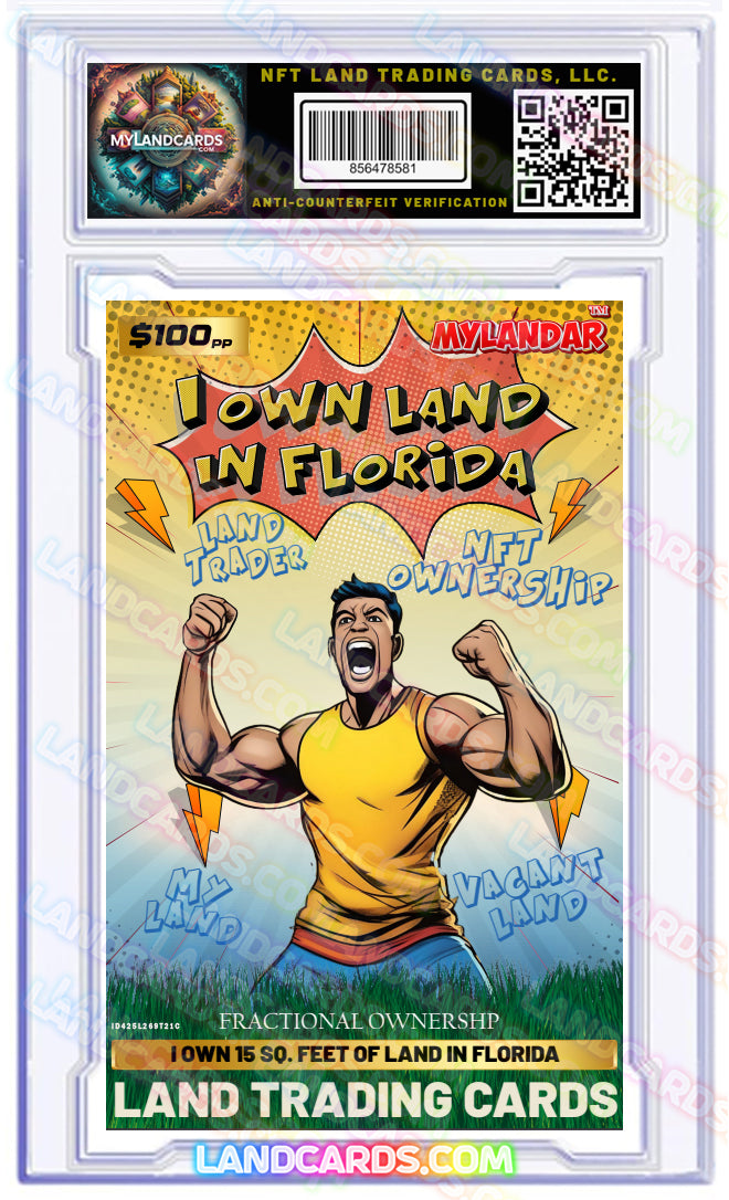Mylandar - Warrior Comic Land Trading Card - DMW
