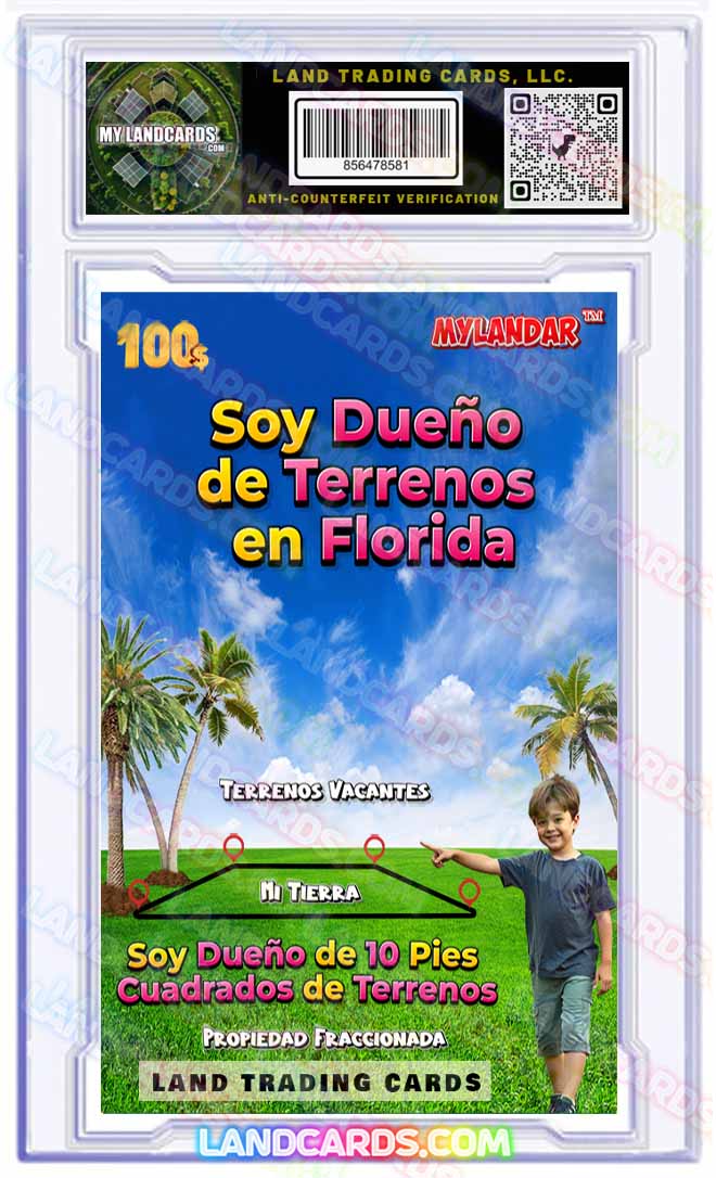 Mylandar - Land Trading Card - Family Edition Boy - SBW Spanish Card